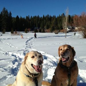 Meet your Posher, Susan